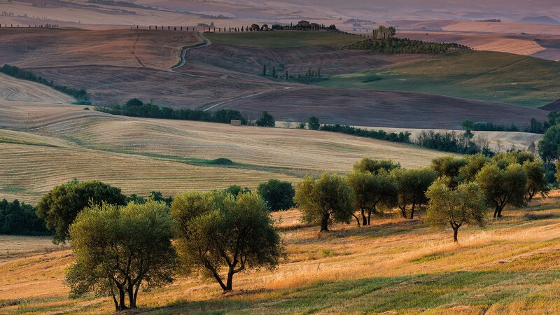 Rolling Hills Landscape — Brown, Serene, Sunset