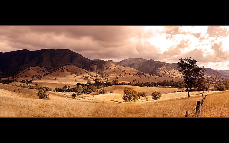 Rolling Hills Landscape — Brown