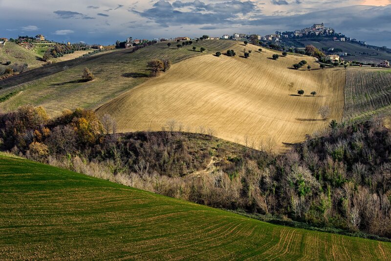 Rolling Hills Landscape — Green, Dramatic, Autumn