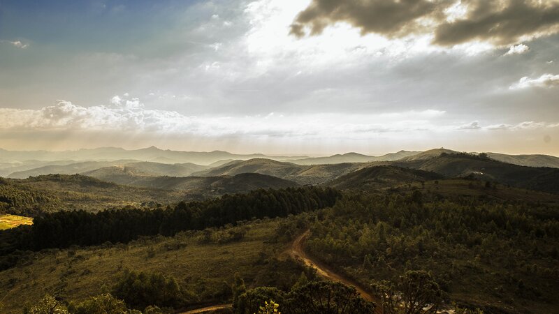 Rolling Hills Landscape — Green, Serene, Afternoon, Photograph, Trees, Dirt Road