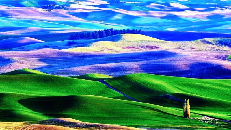 Rolling Hills Landscape — Green, Serene, Afternoon, Photograph, Trees, Road