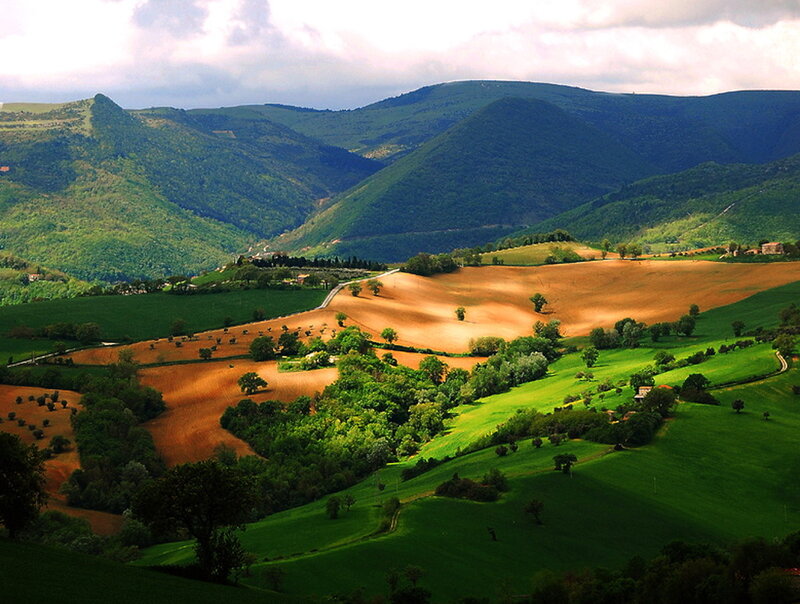 Rolling Hills Landscape — Green, Serene, Afternoon