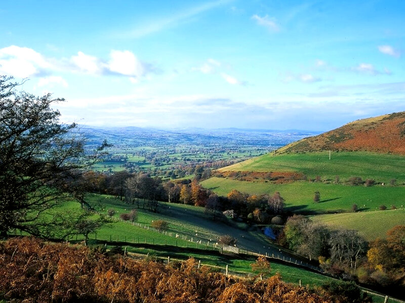 Rolling Hills Landscape — Green, Serene, Autumn
