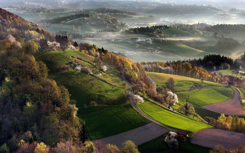 Rolling Hills Landscape — Green, Serene, Morning, Photograph, Trees