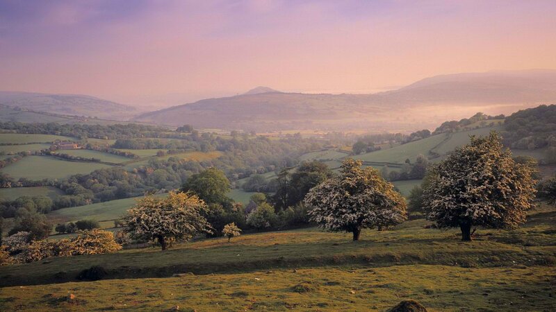 Rolling Hills Landscape — Green, Serene, Morning, Photograph, Trees, Valley