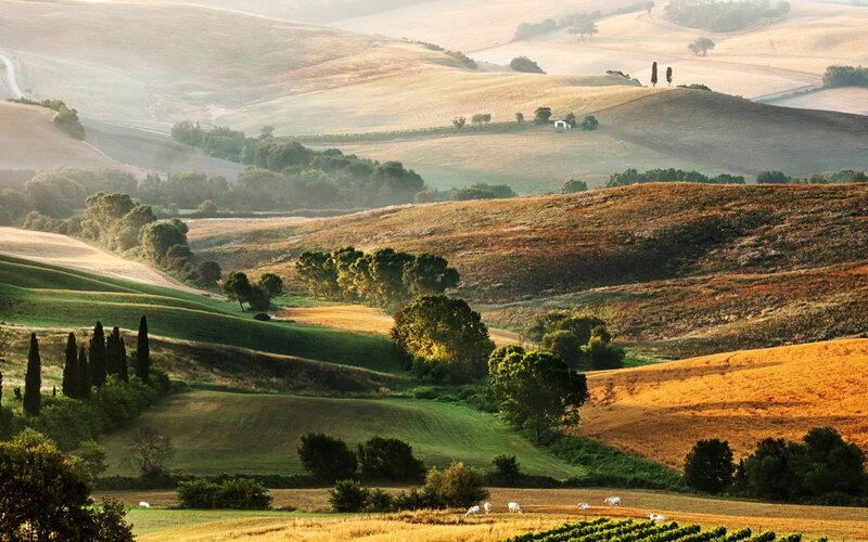 Rolling Hills Landscape — Green, Serene, Morning