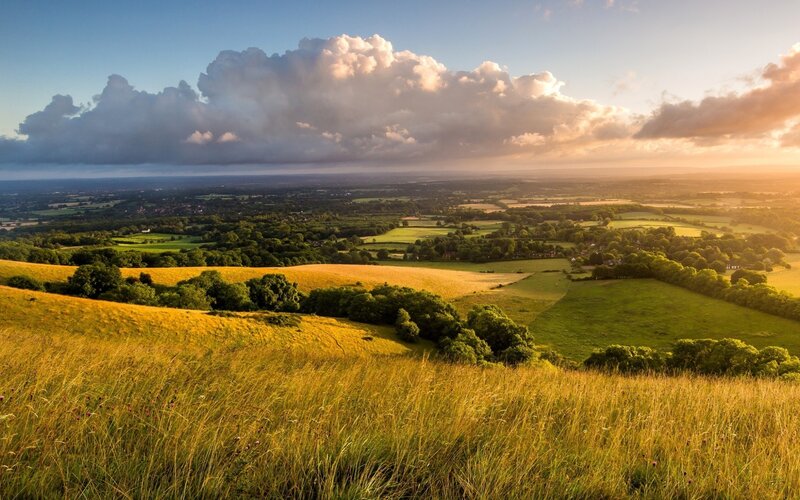 Rolling Hills Landscape — Green, Serene, Sunset, Photograph, Fields, Trees