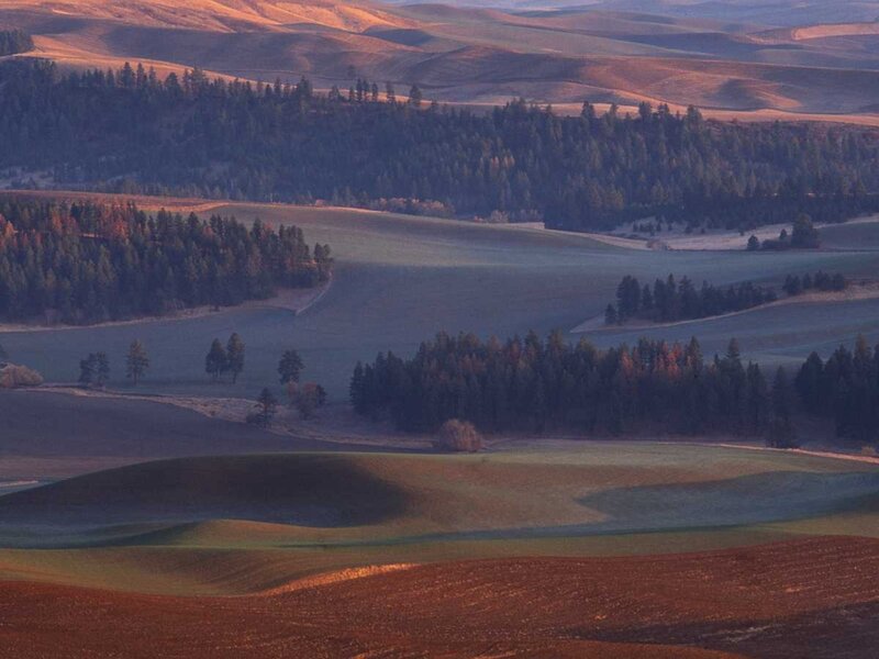 Rolling Hills Landscape — Green, Serene, Sunset, Photograph, Forests