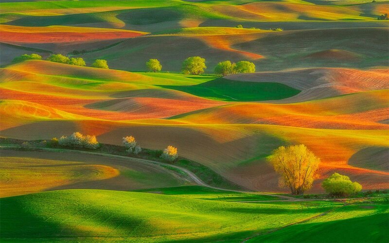 Rolling Hills Landscape — Green, Serene, Sunset, Photograph, Trees, Fields