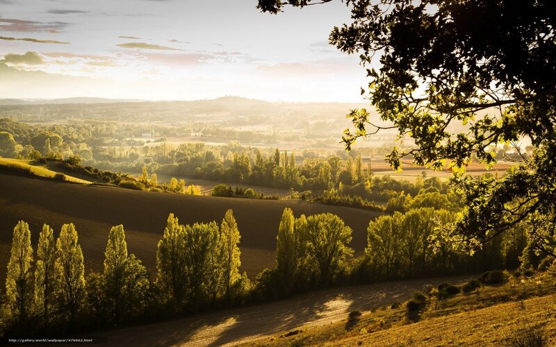 Rolling Hills Landscape — Green, Serene, Sunset, Photograph, Trees, Sky