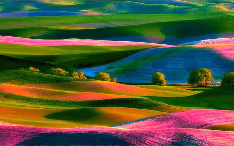 Rolling Hills Landscape — Green, Serene, Sunset, Photograph, Trees