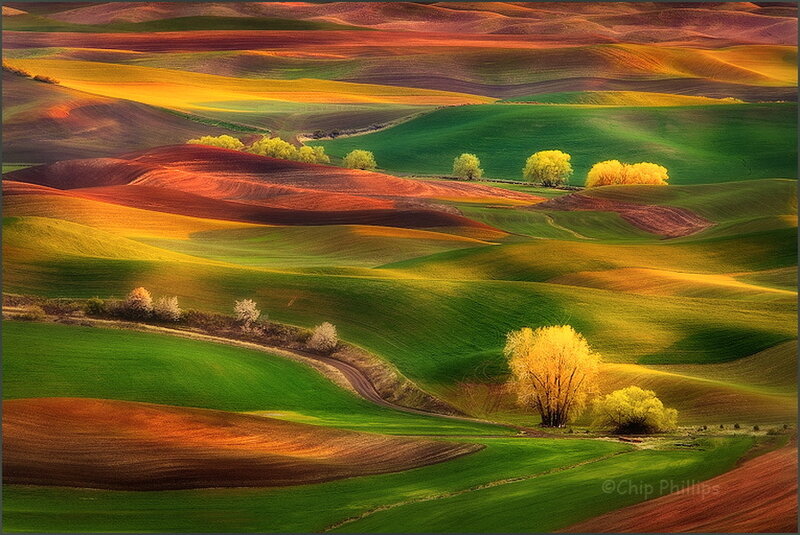 Rolling Hills Landscape — Green, Serene, Sunset