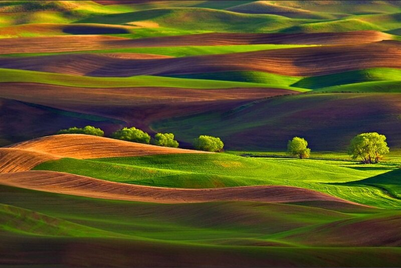 Rolling Hills Landscape — Green, Serene