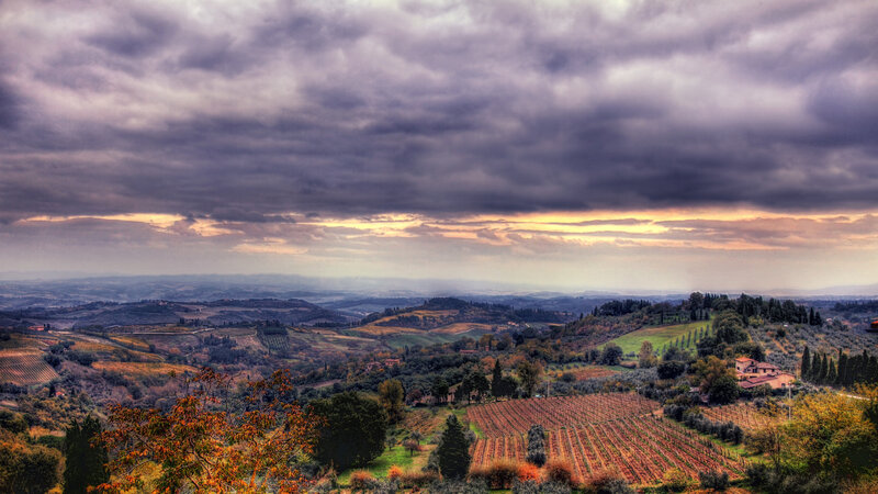 Rolling Hills Landscape — Purple