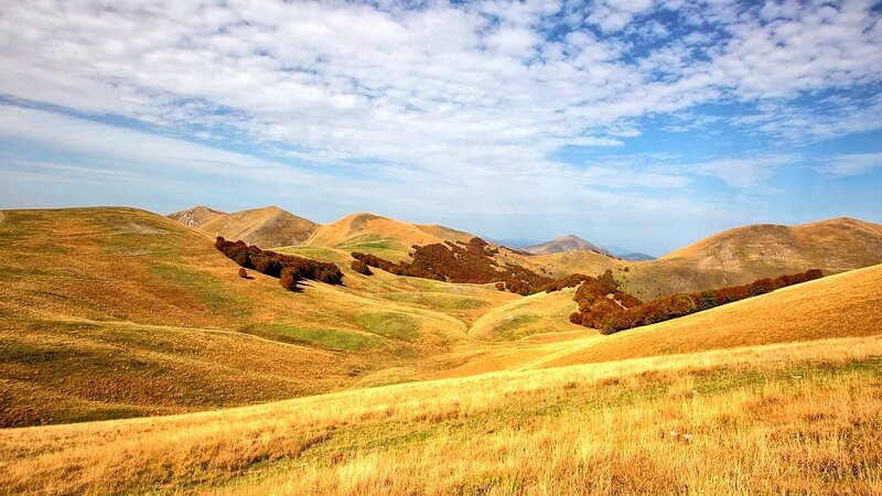 Rolling Hills Landscape — Yellow
