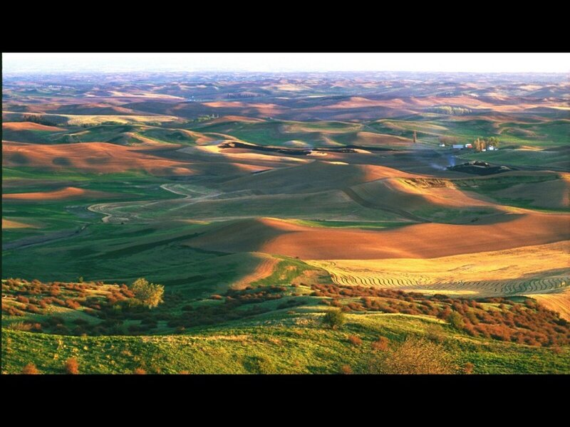 Rolling hills of the Palouse