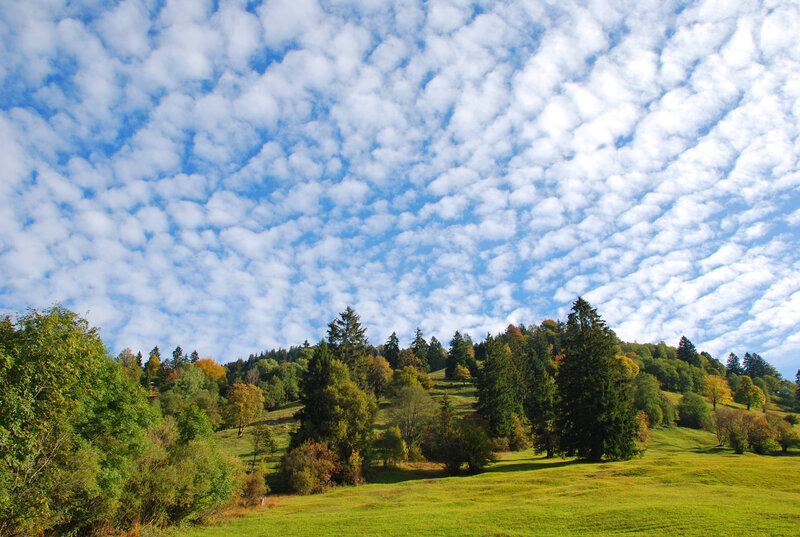 Rolling hills under a cloudy sky