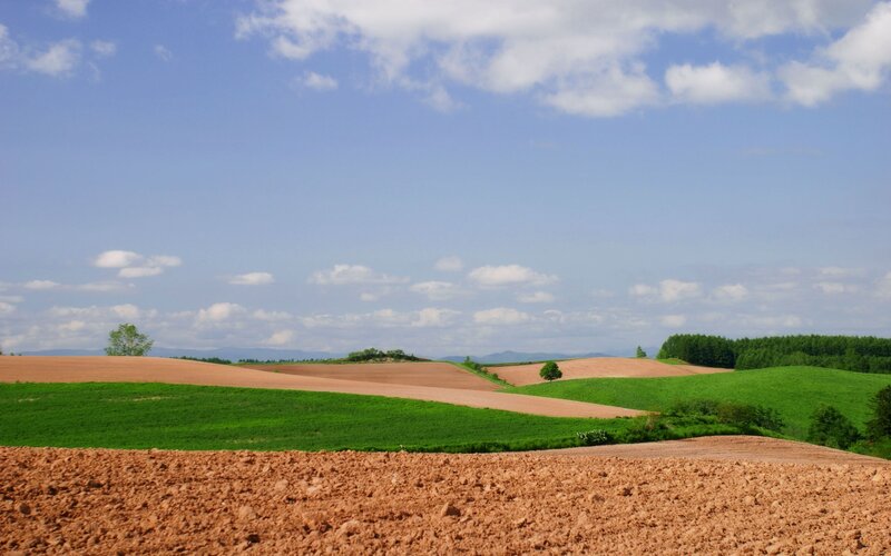 Rolling hills under blue sky