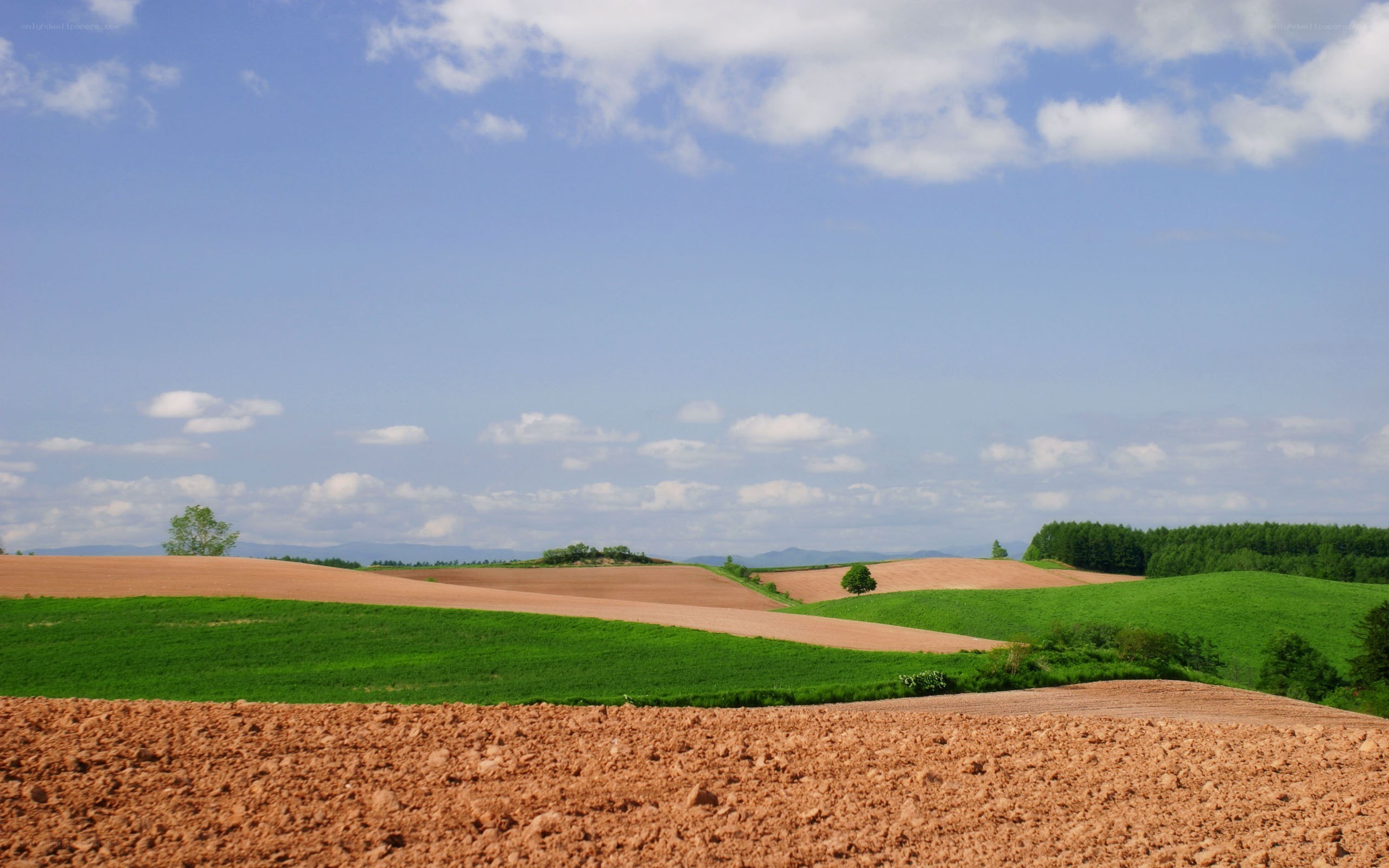 Rolling hills under blue sky