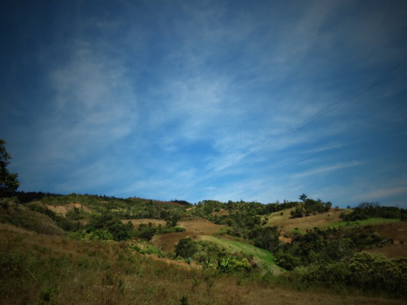 Rolling Hills under Blue Sky — Serene, Afternoon