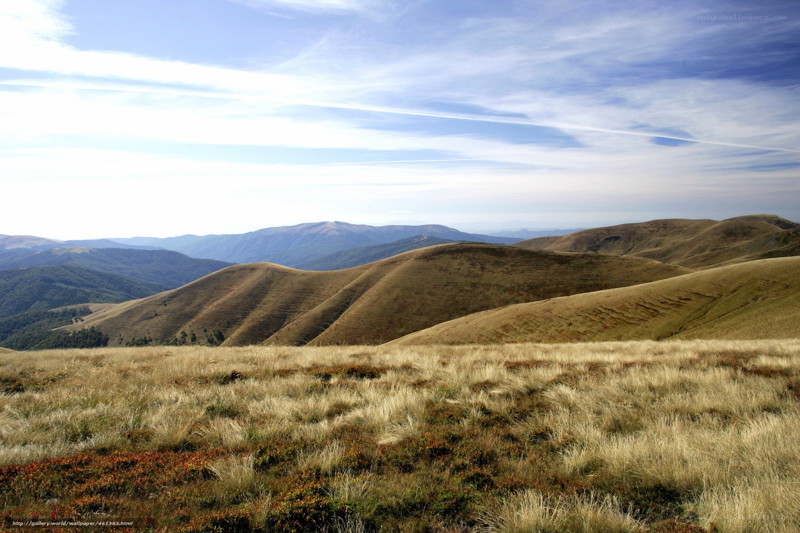 Rolling hills under blue sky