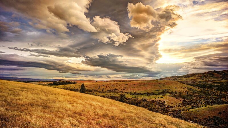 Rolling Hills under Cloudy Sky — Gold