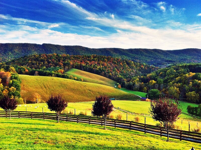 Rolling Hills with Autumn Trees
