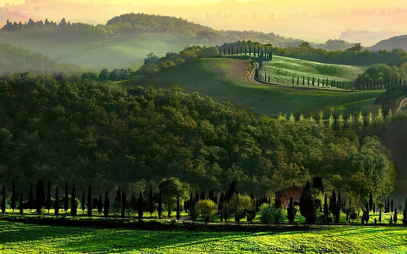 Rolling Hills with Cypress Trees — Green