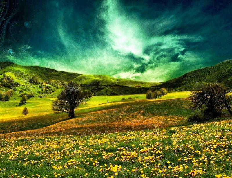 Rolling Hills with Dandelions