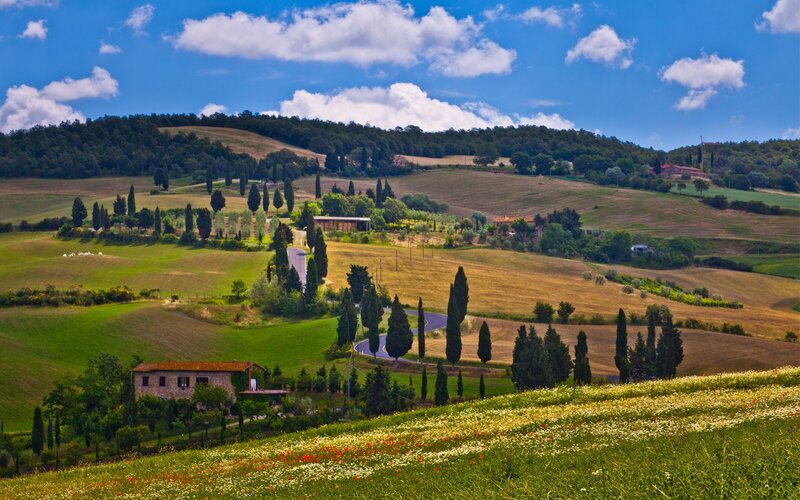 Rolling Hills with Farmhouses — Green