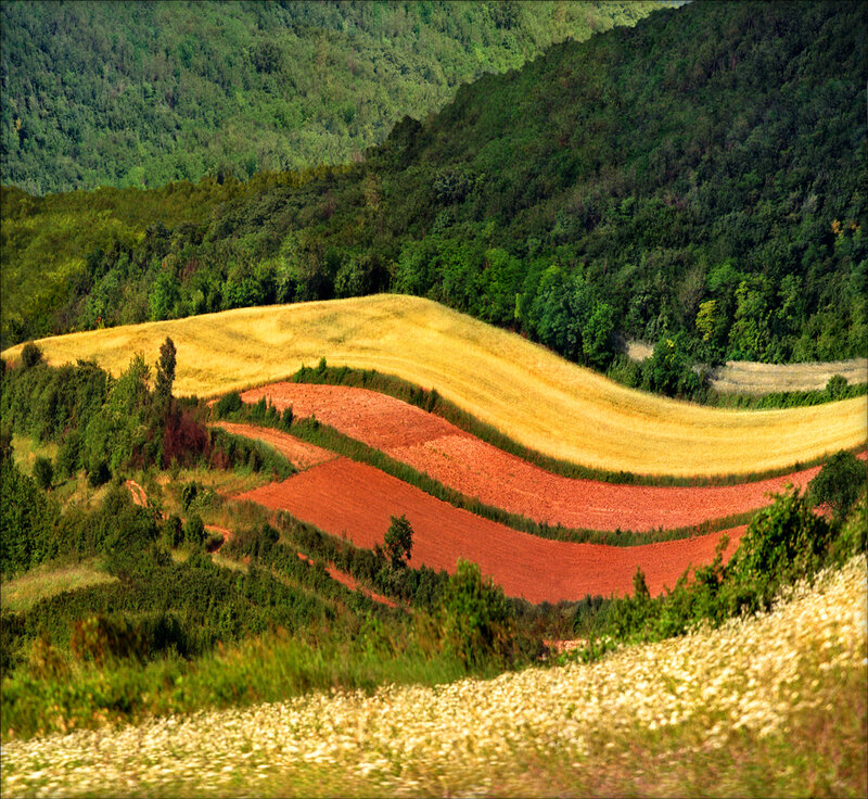 Rolling Hills with Fields — Green