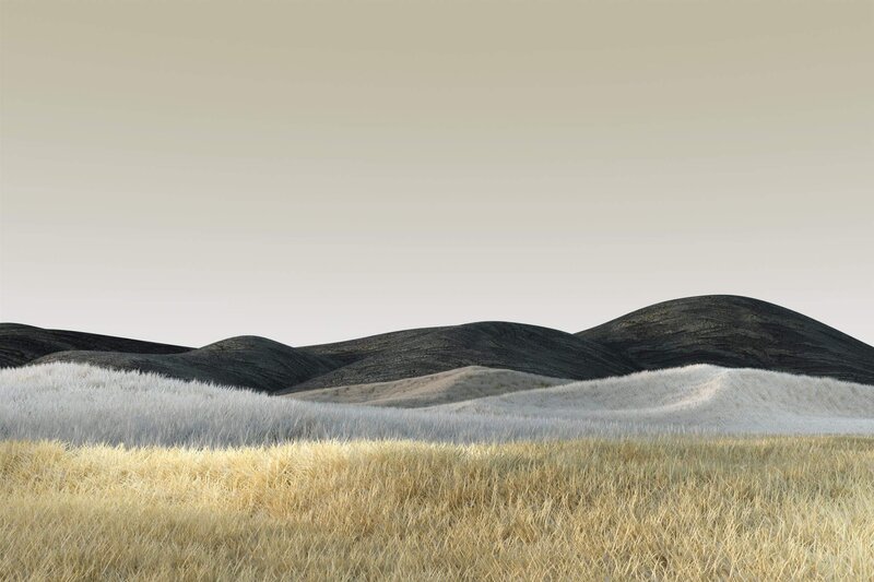 Rolling Hills with Grass
