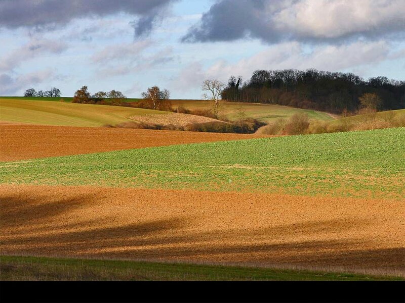 Rolling hills with green fields