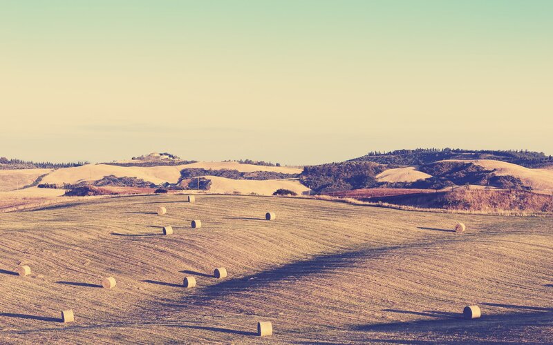 Rolling hills with hay bales