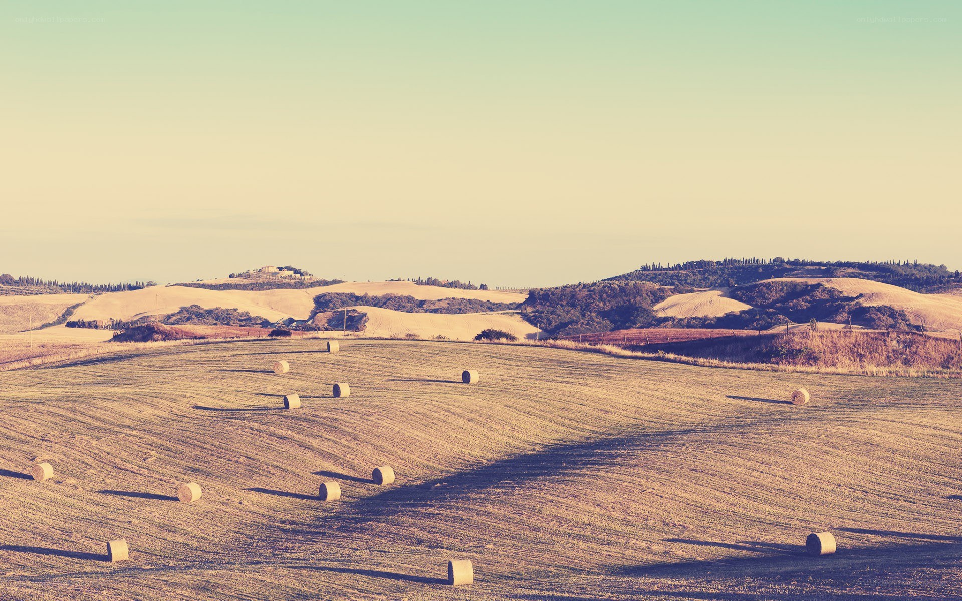 Rolling hills with hay bales