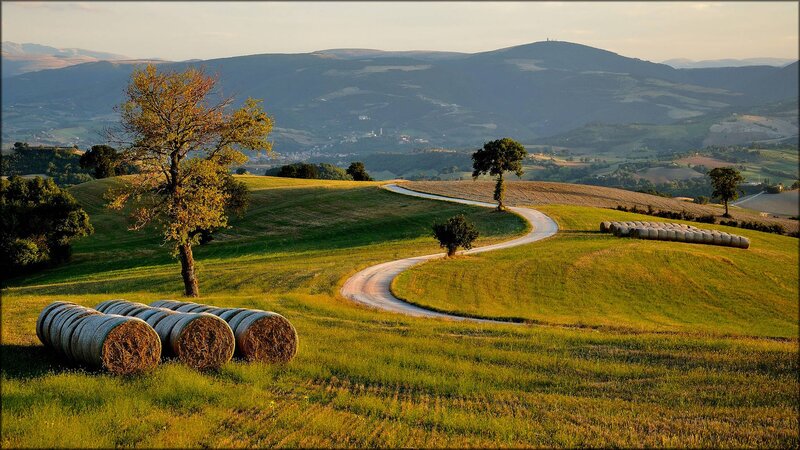 Rolling Hills with Hay Bales — Green