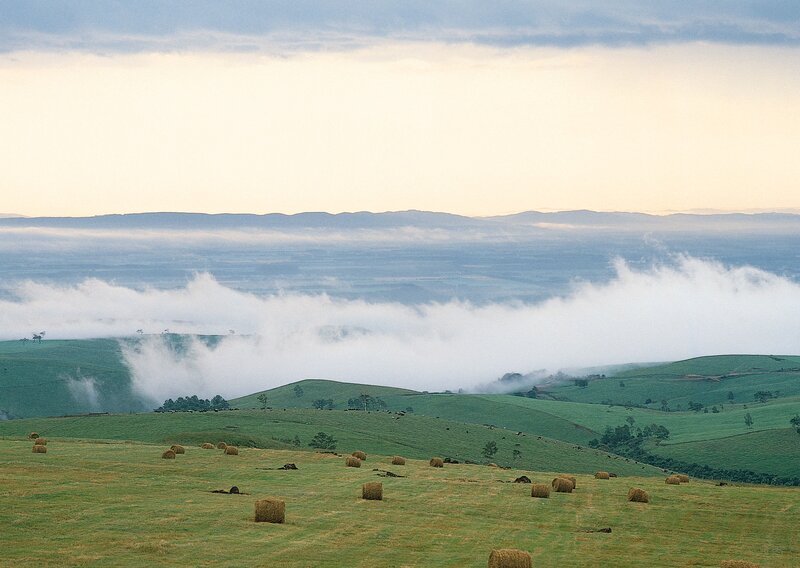 Rolling hills with hay bales