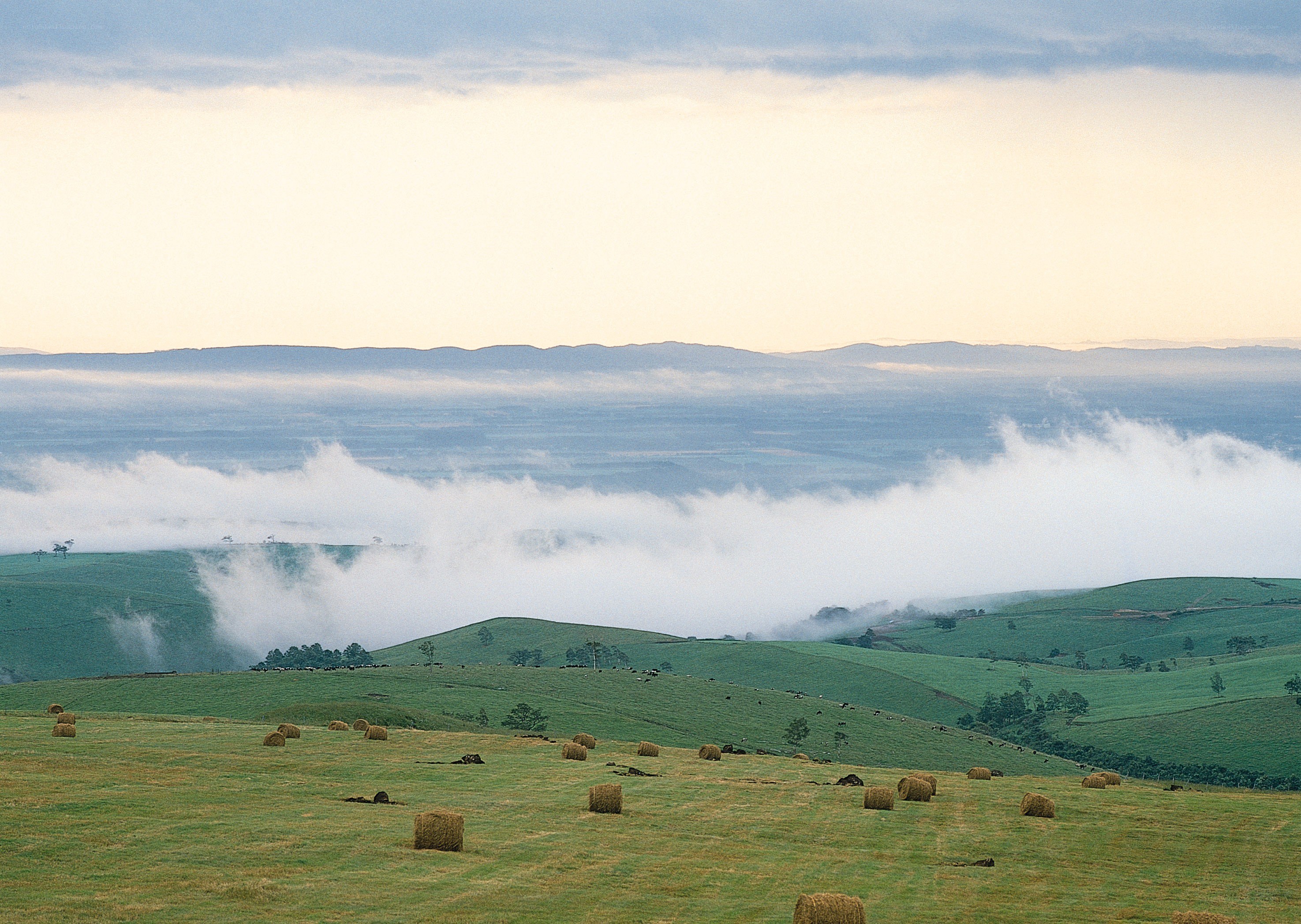 Rolling hills with hay bales