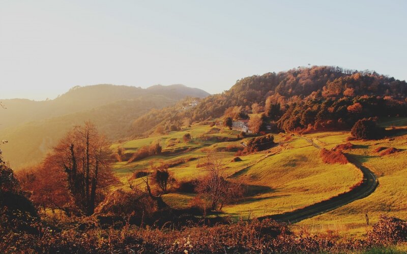 Rolling Hills with Houses