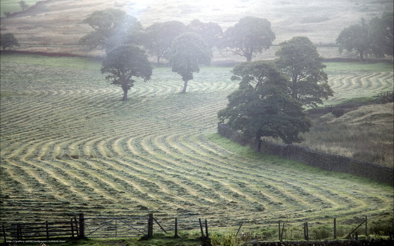 Rolling Hills with Stone Wall