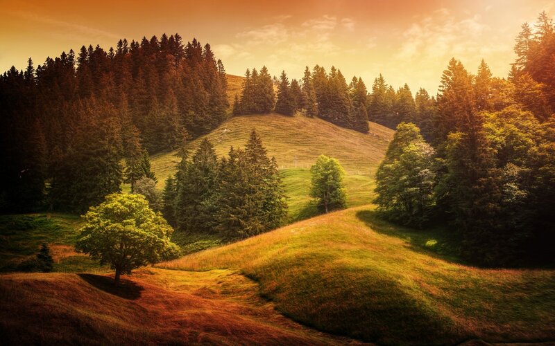 Rolling Hills with Trees — Green, Serene, Sunset, Photograph, Sky