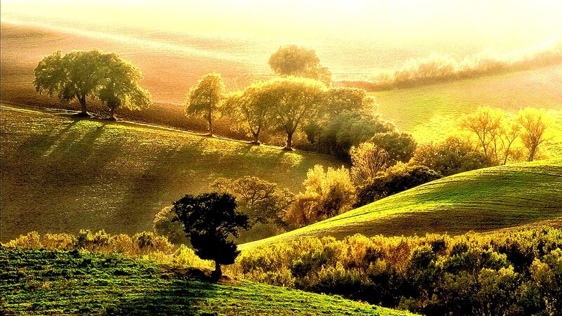 Rolling Hills with Trees — Green, Serene, Sunset, Photograph