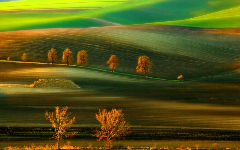 Rolling Hills with Trees — Green, Serene, Sunset
