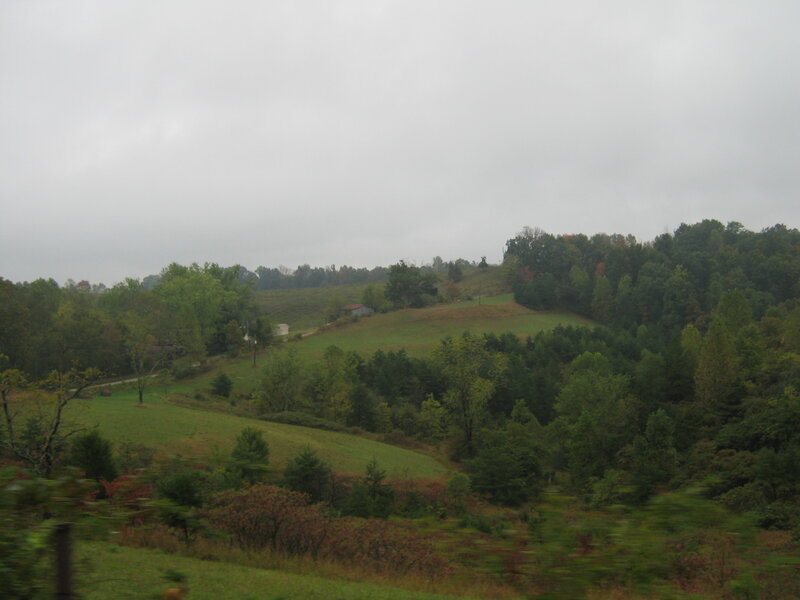 Rolling Hills with Trees — Green
