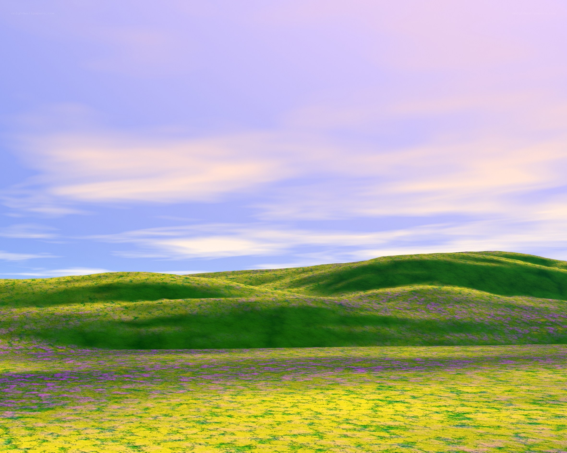Rolling hills with wildflowers
