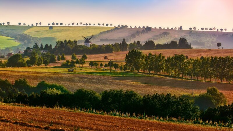 Rolling hills with windmill