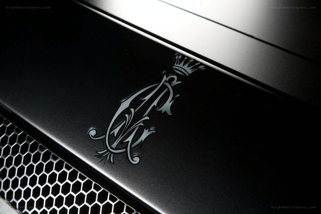 Rolls-Royce emblem close-up