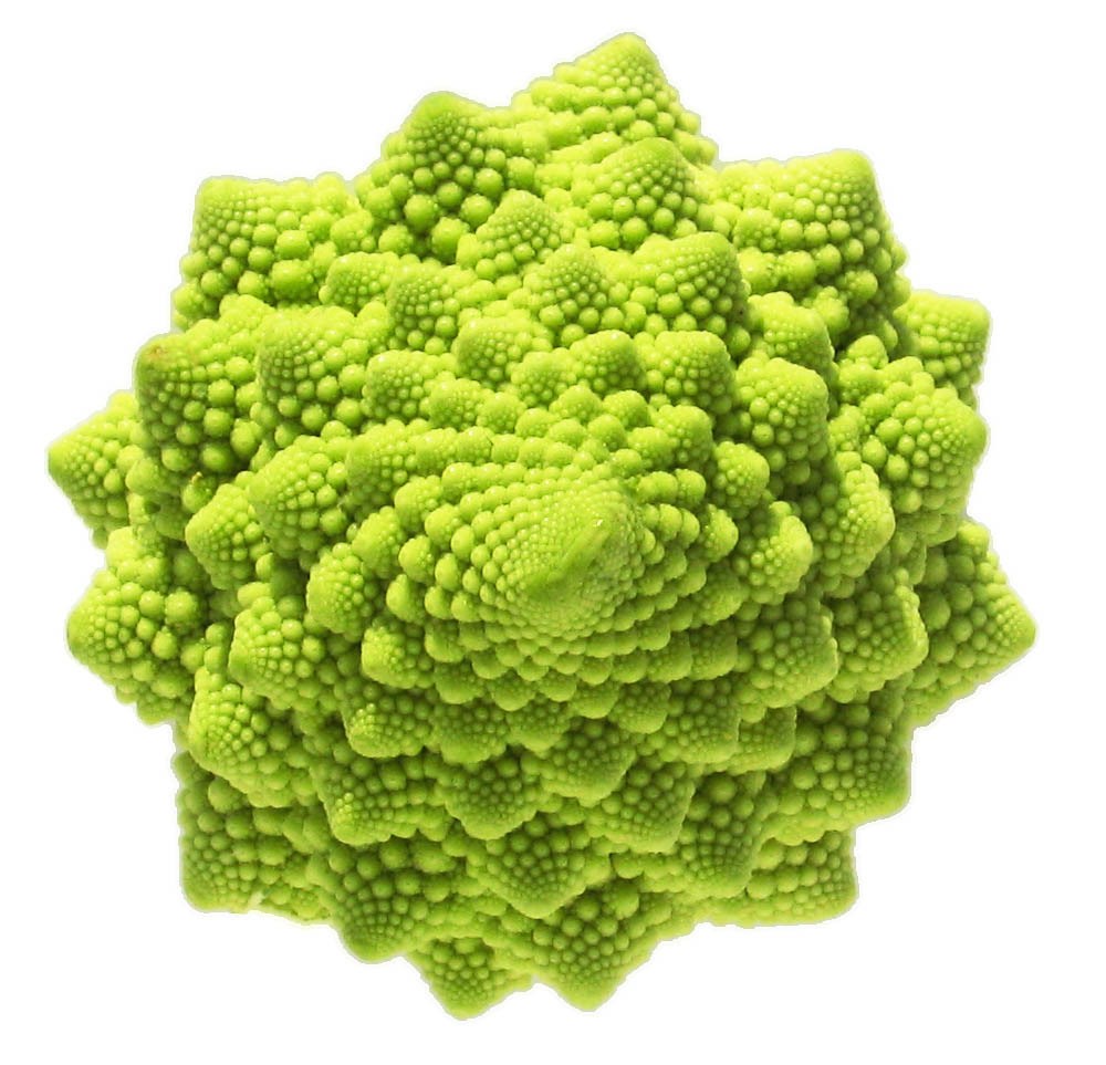 Romanesco broccoli close-up