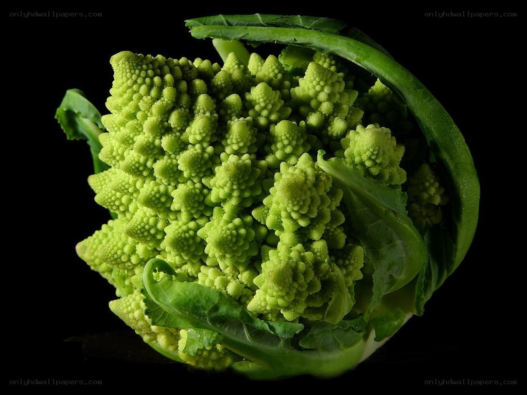 Romanesco broccoli close-up