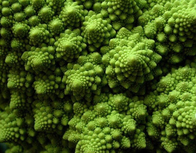 Romanesco Broccoli — Green, Natural